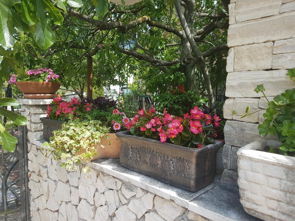 Apartment Adis Šibenik Extérieur photo